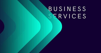 ProfessionalBusiness Services