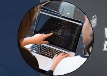 Web Development Services